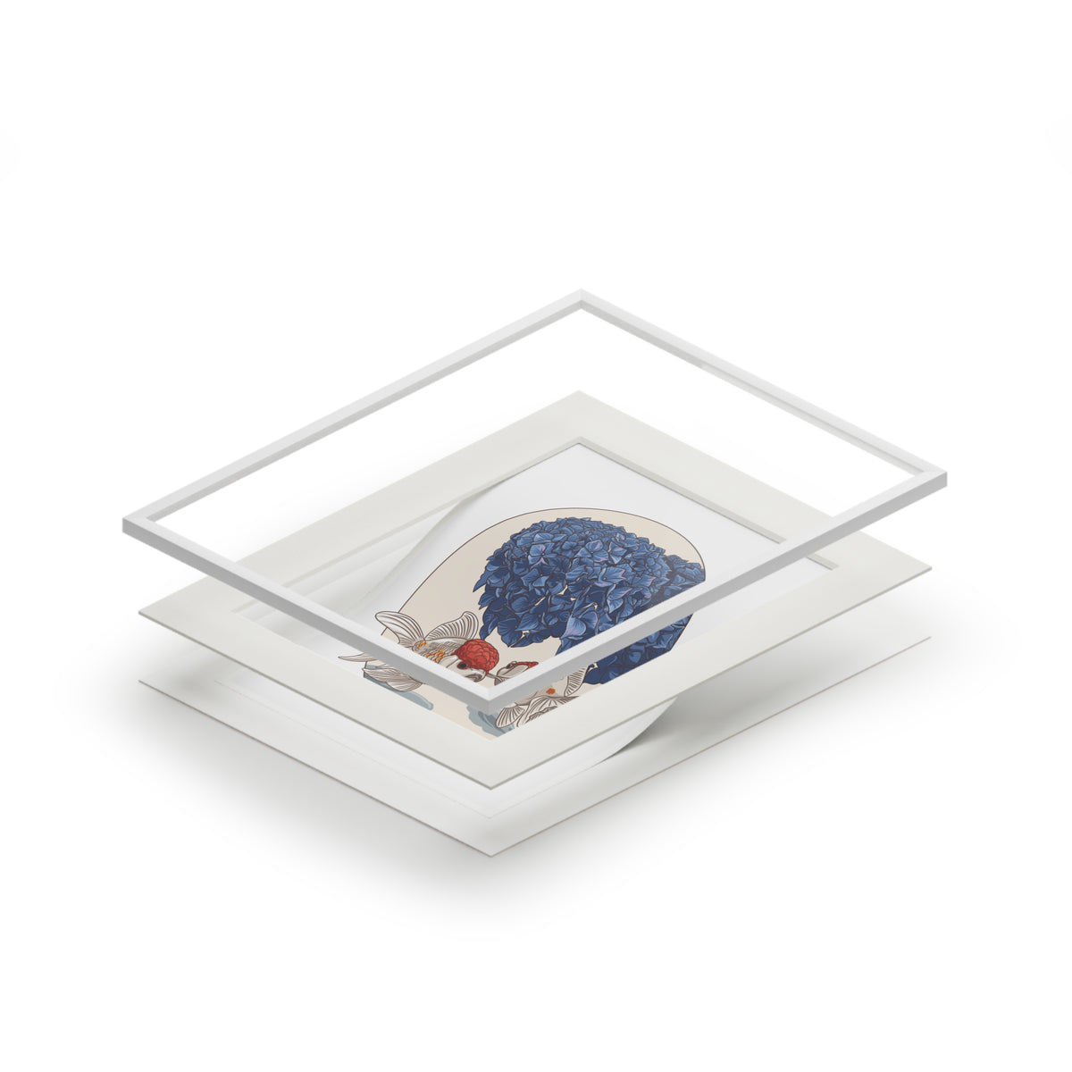 Oranda & Hydrangea Fine Art Print
